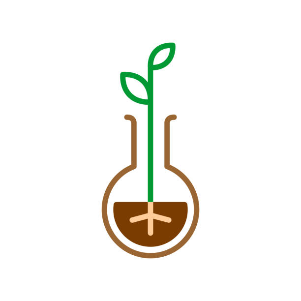 soil testing